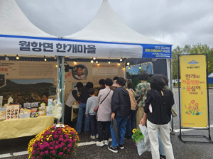 성주군 한개마을, ‘경상북도 문화마을이야기 박람회’서 우수마을 수상