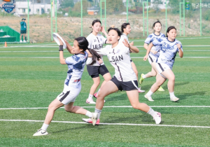 경북교육청, 제18회 전국학교스포츠클럽 축전 플라잉디스크대회 개최