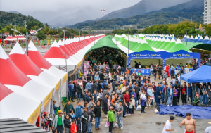 영주 풍기인삼축제·농특산물대축제, 시민·관광객 발길 ‘북적’