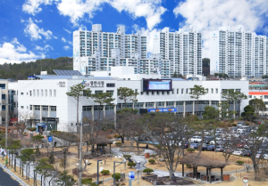 2025년 경상북도 드림 JOB 페스타 in 영천’ 채용박람회 성황리에 개최