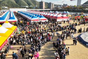 “청송, 다시 붉게 물들다”…제19회 청송사과축제 50만 인파 속 대성황