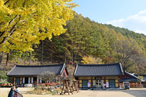 [포토뉴스] 청송 주왕산,  형형색색 단풍으로 물들며 가을 관광 본격화