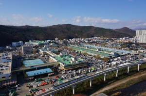 대구농수산물유통관리공사, ‘2024년 농산물 도매시장 평가’ 우수기관 선정