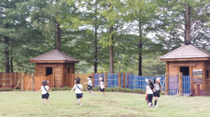 고령군 유아숲체험원, 자연 속 배움터로 인기