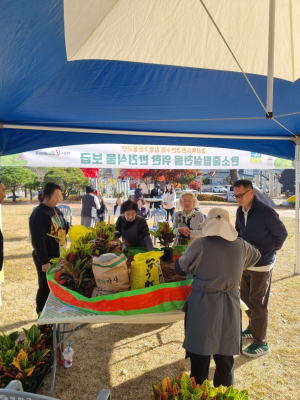 영양군, 반려식물 보급행사 개최