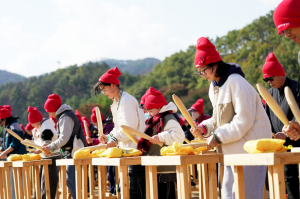 [기획취재]대형 산불의 그늘을 뚫다 – 청송사과축제, 지역경제를 다시 깨우다 (3)