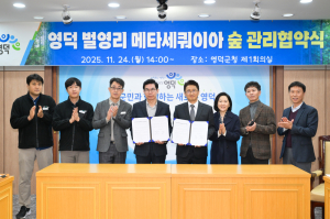 영덕군, 벌영리 메타세쿼이아 숲 운영·관리 협약 체결