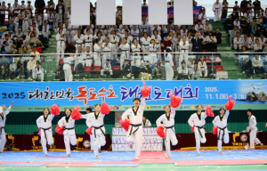 영천시, ‘2025 대한민국 독도수호태권도대회’ 성황리에 개최