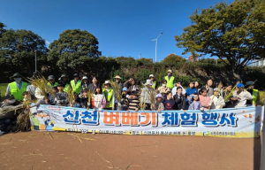 대구시 “도심 속 논에서 황금빛 추수” 신천둔치 벼 베기 체험