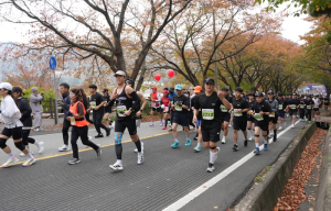깊어가는 가을을 달린다! ‘2025 영천댐 마라톤대회’ 성황리 개최