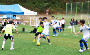 울진군, 청소년 체육 꿈나무들의 한판 승부
