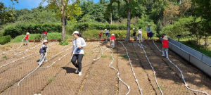 자연 속에서 배우는 첫걸음, 고령군 유아숲체험원 행복한 숲속 배움터로 인기