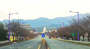 청도군 이서로(국지도 30호선) 가로등 설치사업 준공