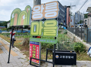 고령군, ‘회색 유령마을’에서 관광명소로… 대가야 왕릉마을의 변화 시작됐다