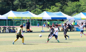 울진군에 전국 유소년 축구 꿈나무 모인다!
