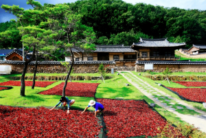 영양군, ‘지속가능 농업’으로 농촌 미래 연다