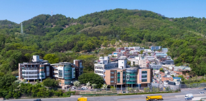 대구시, 올겨울 취약노인 보호 총력… 동절기 대책 시행