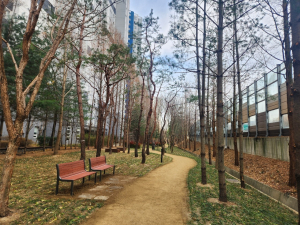 대구 동구, 봉무동 완충녹지에 맨발산책로 조성