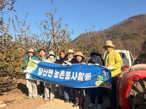 영덕군 달산면 직원들, 사과 농가 찾아 일손 돕기