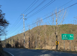 의성군, 주요 시가지 가로수 465본 가지치기 완료
