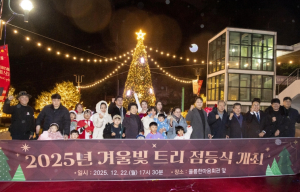 울릉군, 2025년 겨울빛 트리 점등식 개최