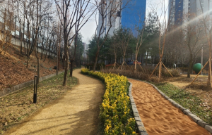 대구 동구, 봉무동 완충녹지 맨발산책로 조성 완료