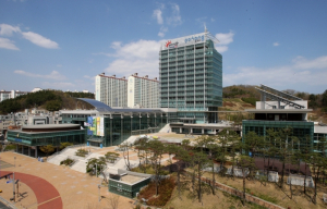 포항시, 선거철 대비 불법 현수막 정비 강화로 안전한 도시 환경 조성