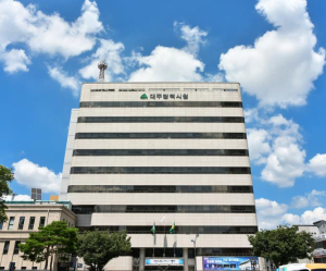 대구시, 항공사 지원 확대로 대구공항 국제선 늘린다!