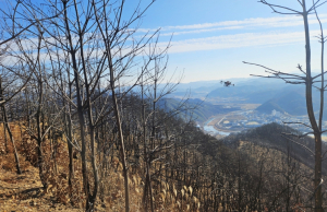 청송군, 산불 피해 군유림에 더덕·도라지 대체작물 시범 파종