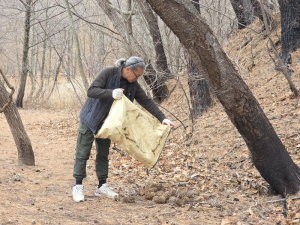 영양군 장구메기습지 주민들, 산불 피해 소생물 보호 나서