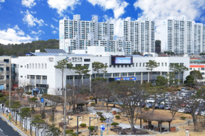 영천시, 채소·특작 지원사업 신청 접수