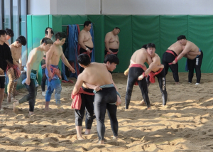 의성군, 국내 씨름단 동계 전지훈련 유치