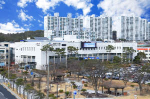 영천시, 2026년 특용수 현금보조 조림사업 신청 접수