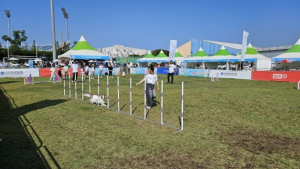반려동물 친화도시 포항 도약 … 고품질 친환경 축산 기반 다진다