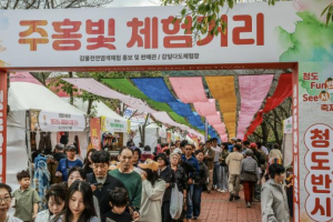 청도반시축제, 경상북도 지정 우수축제 선정
