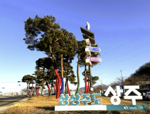 상주시, ‘명품 가로수길’로 도시 품격 높였다