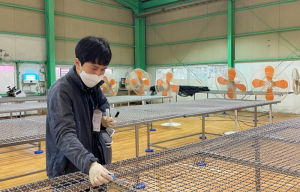 포항시, 설 명절 대비 제수용 수산물 안전관리 강화
