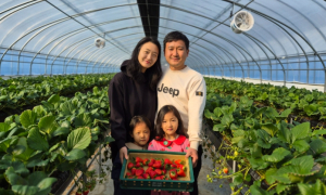 청도군, `청도형 스마트팜` 본격 가동