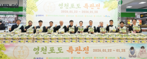 겨울에도 달콤한 명품 영천포도, 설 명절맞이 특판행사 개최!