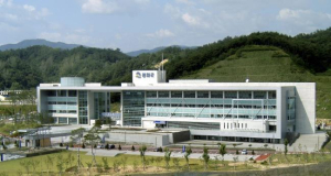 설 명절 대비 불법현수막 집중 정비 ˝깨끗한 거리, 함께 만들어요˝