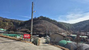 의성군, 산불피해목 벌채사업 신청 접수