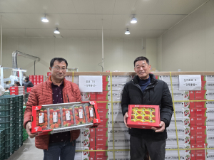 상주시, 설 연휴에도 멈추지 않은 ‘상주 딸기’ 수출길