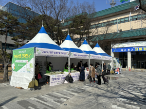대구 동구, 팔공산 봄맛 도심으로