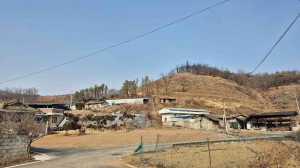 의성군, 산불피해지 위험목 제거 361ha ‘무사고’ 완료