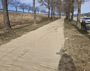낙동강 따라 2.5km…구미, 플라타너스 그늘 아래 맨발길 새 단장