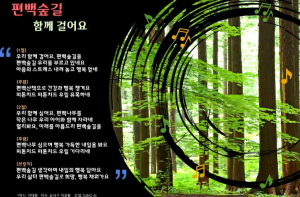 달서구, 구목 ‘편백’ 노래 제작…5만 그루 편백숲에 건강과 행복을 담다