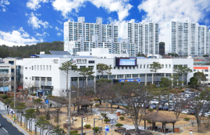 영천시, 설 연휴 대비 비상진료체계 가동