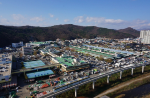 대구농수산물도매시장, 3월 1일부터 부설주차장 운영 체계 전면 개편