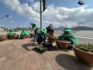 고령군 운수면, 대가야축제 앞두고 봄꽃 화단 조성