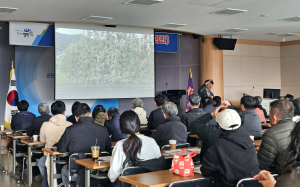 영덕군, ‘다축형 사과반’ 운영…고품질 생산·농가 경쟁력 강화